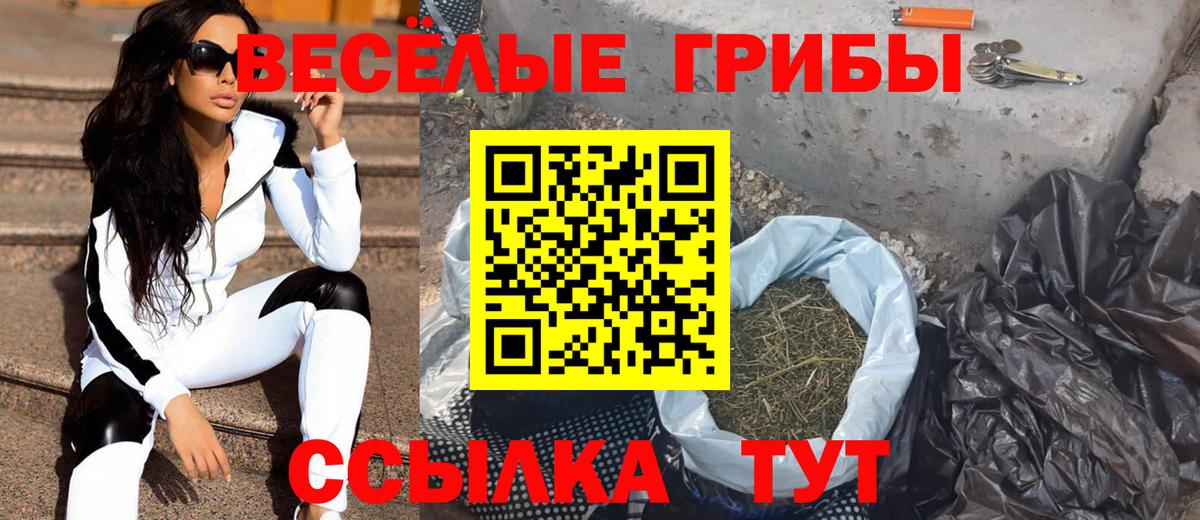 Галлюциногенные грибы ЛСД Партизанск