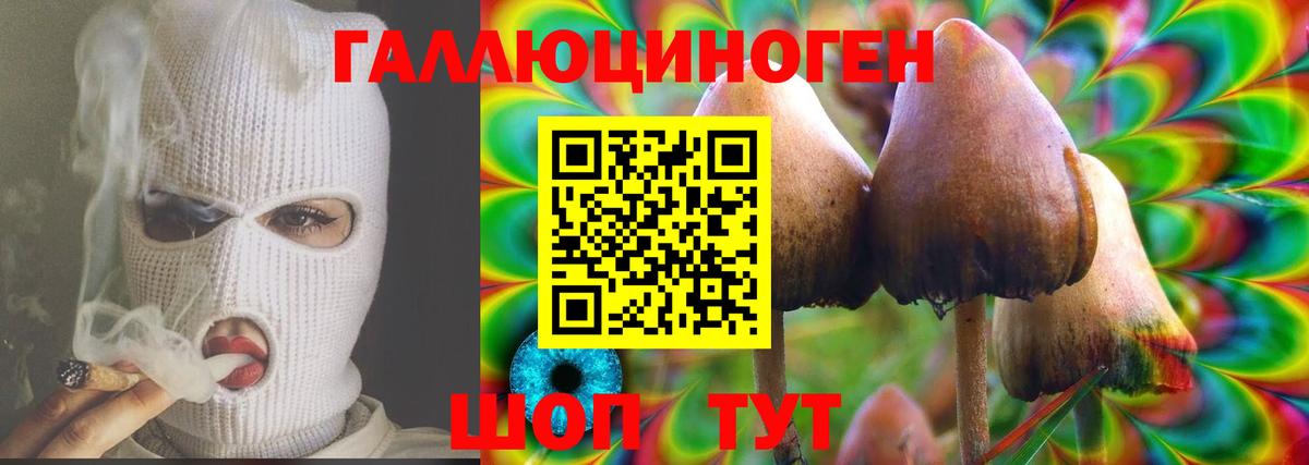 Партизанск  Галлюциногенные грибы MAGIC MUSHROOMS  Вход с VPN 